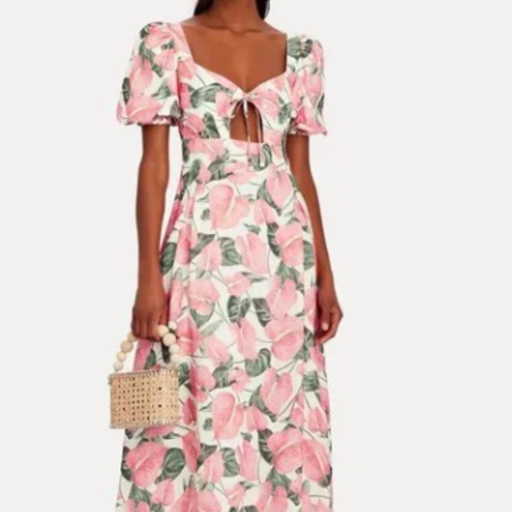 Agua Bendita Chocolate Anturios Dress